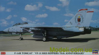 Истребитель ВМС США F-14B Tomcat