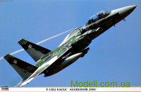 Учебно-тренировочный истребитель F-15DJ Eagle "Aggressor 2008"